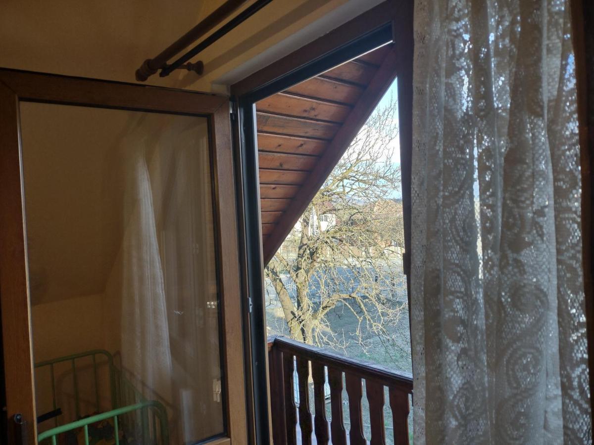 Pensiunea Ghita Vasile Vadu Izei Exteriör bild