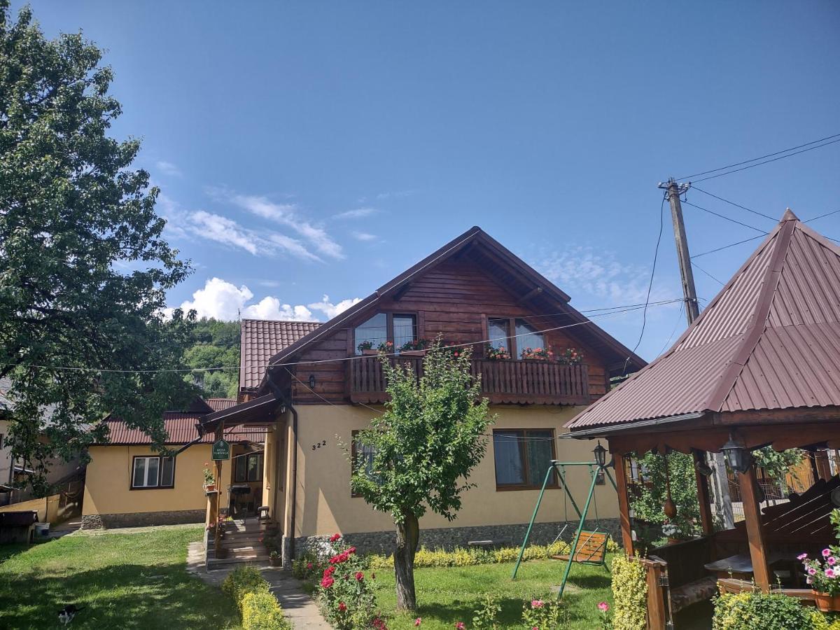 Pensiunea Ghita Vasile Vadu Izei Exteriör bild