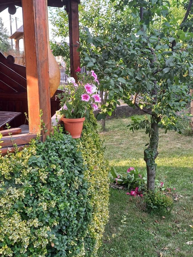 Pensiunea Ghita Vasile Vadu Izei Exteriör bild
