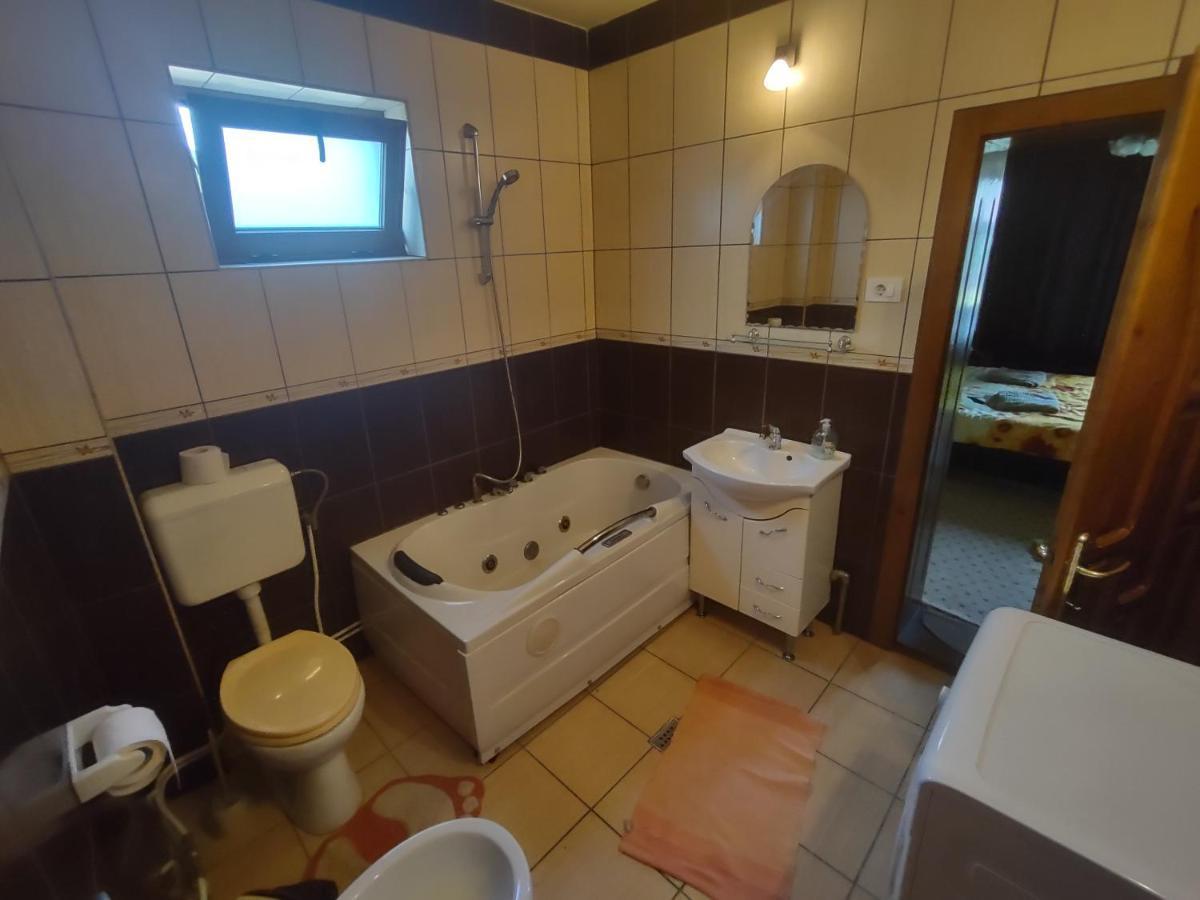 Pensiunea Ghita Vasile Vadu Izei Exteriör bild